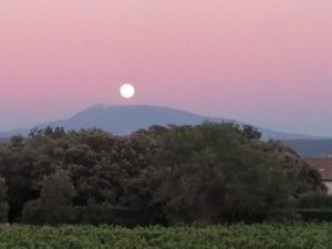 pétrarque au mont ventoux