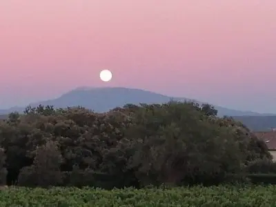 Pétrarque au Mont Ventoux