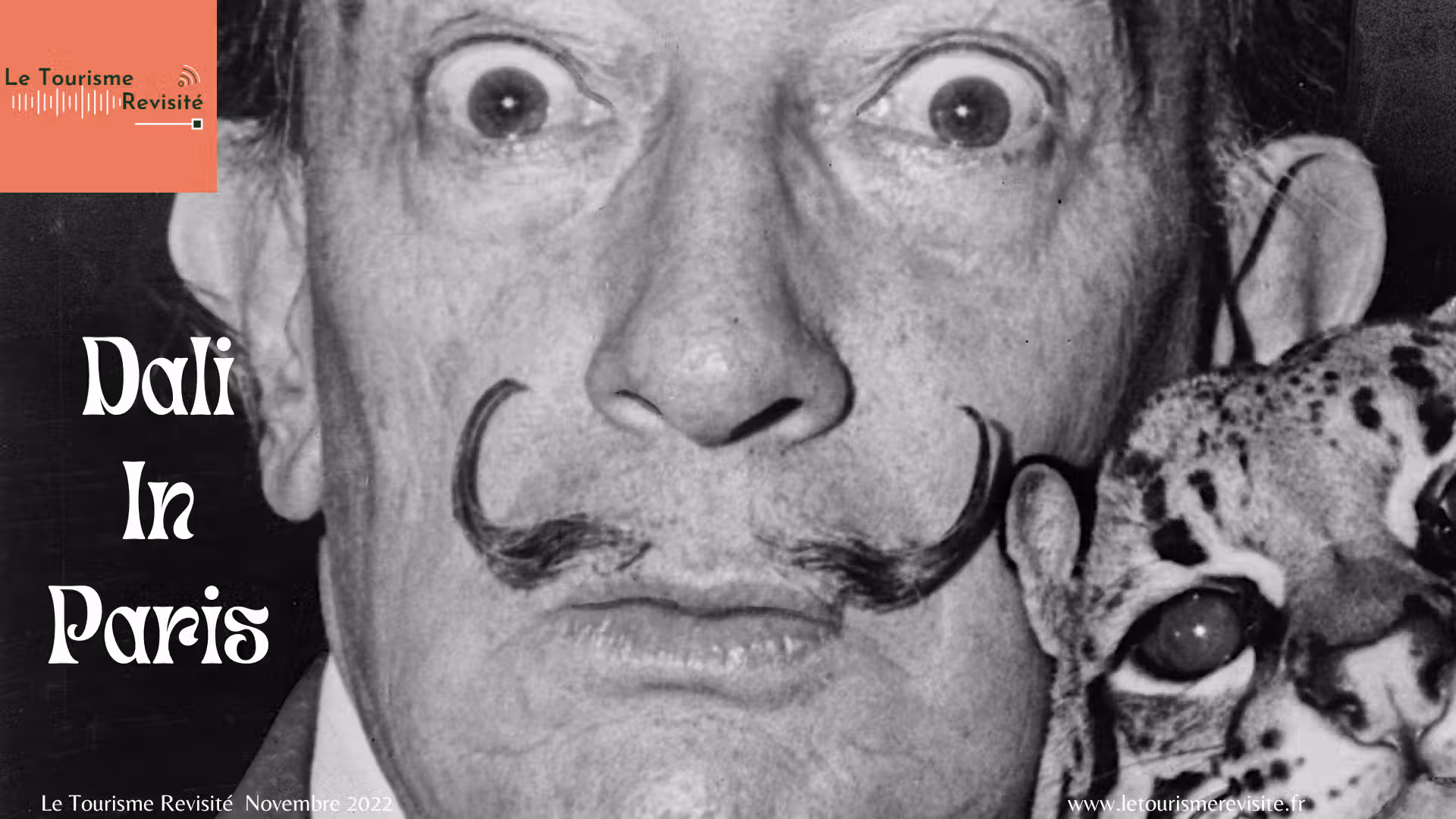 salvador dali