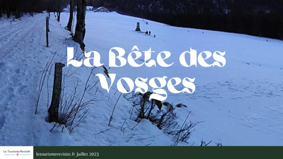 La Bête des Vosges Une énigme