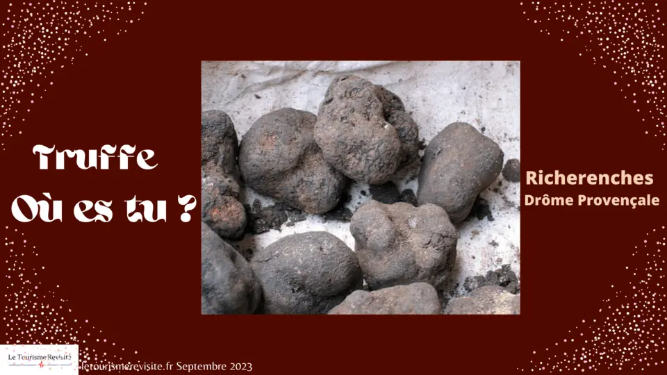 Richerenches capitale de la truffe