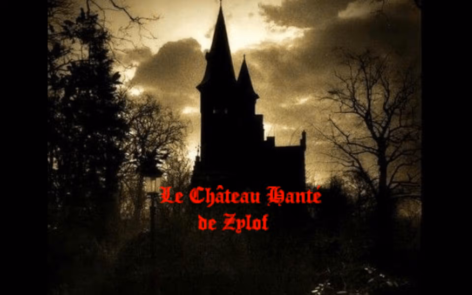 Le château de Zylof