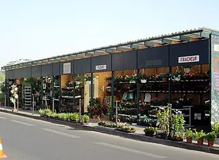 La destruction partielle du Marché aux fleurs de Paris