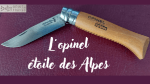 960Lopinel etoile des Alpes