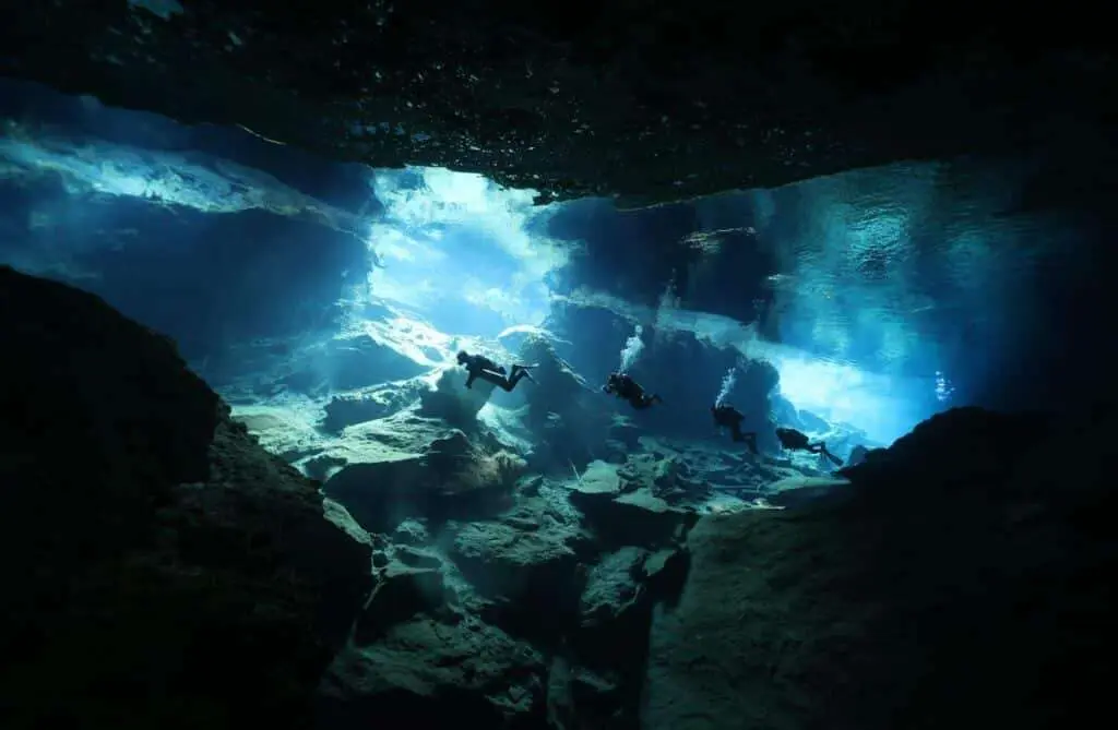 Plongée en cenote : Tout ce que vous devez savoir 96 Plongée en cenote : Tout ce que vous devez savoir