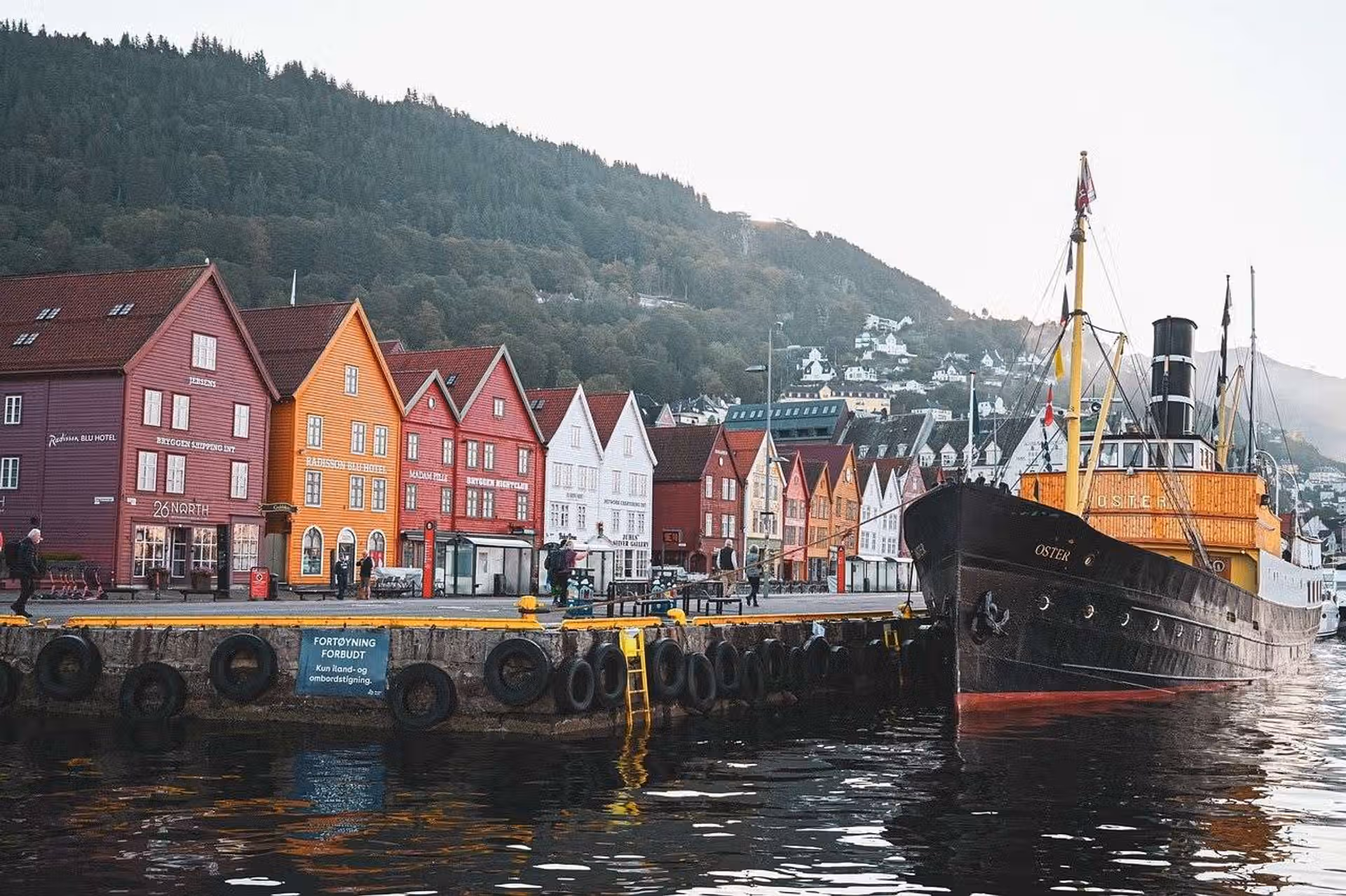 Découvrir Bergen : une destination incontournable entre fjords et traditions norvégiennes